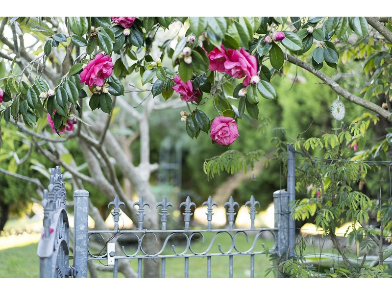 52 Fifth Street, Cardiff South NSW 2285