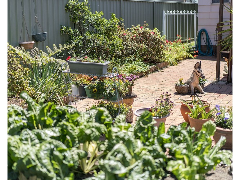 25 Eighth Street, Adamstown NSW 2289