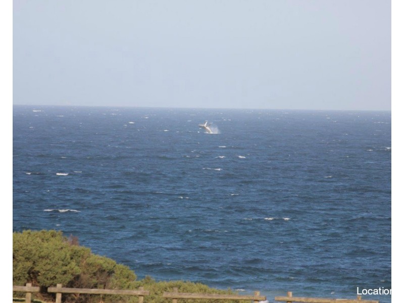 33 The Esplanade, Caves Beach NSW 2281
