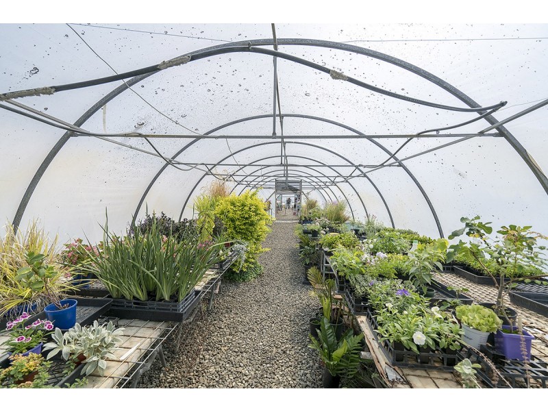 5 Ridley Street, Abermain NSW 2326