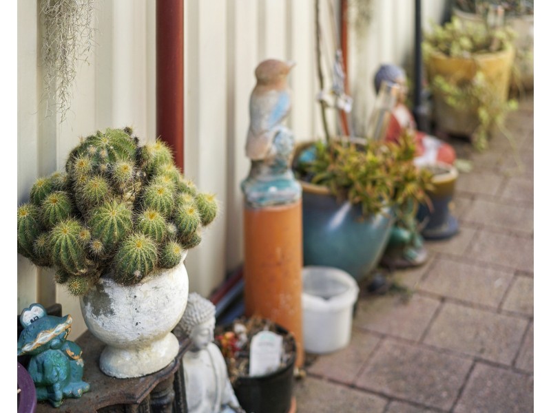 8 Islington Street, Islington NSW 2296