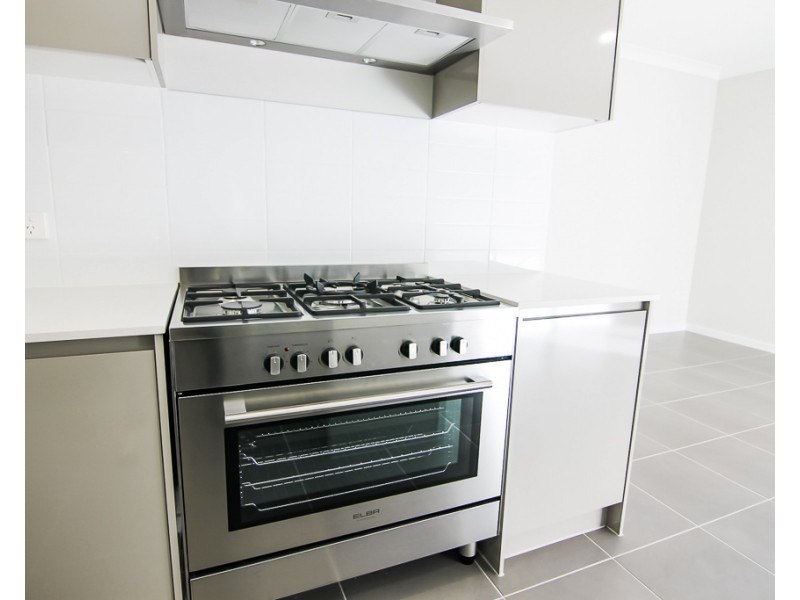 1/53 Alfred Street, Waratah NSW 2298