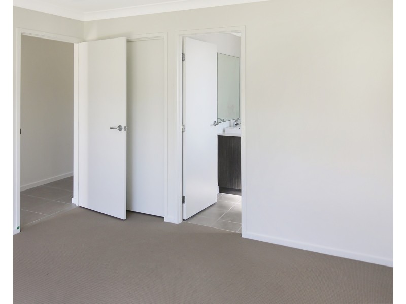 55 Tarragon Way, Chisholm NSW 2322