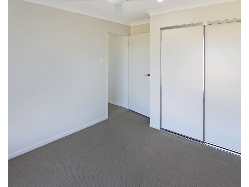 55 Tarragon Way, Chisholm NSW 2322