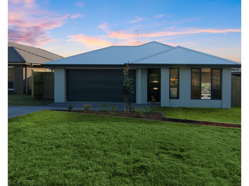 29 Tarragon Way, Chisholm NSW 2322