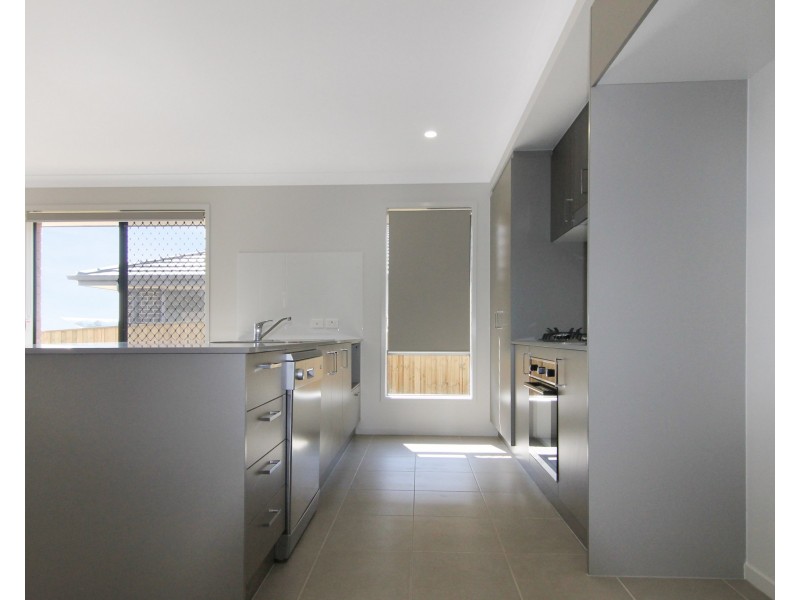 29 Tarragon Way, Chisholm NSW 2322