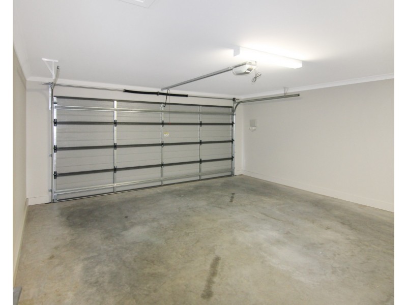 29 Tarragon Way, Chisholm NSW 2322