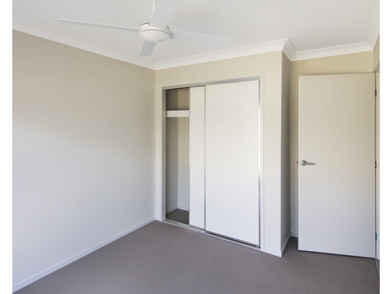 29 Tarragon Way, Chisholm NSW 2322