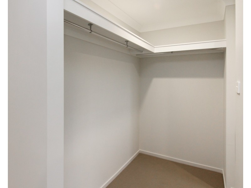 106 Dragonfly Drive, Chisholm NSW 2322