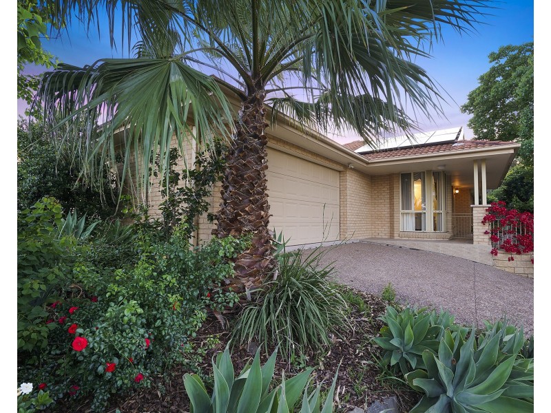 4 Jacana Way, Maryland NSW 2287