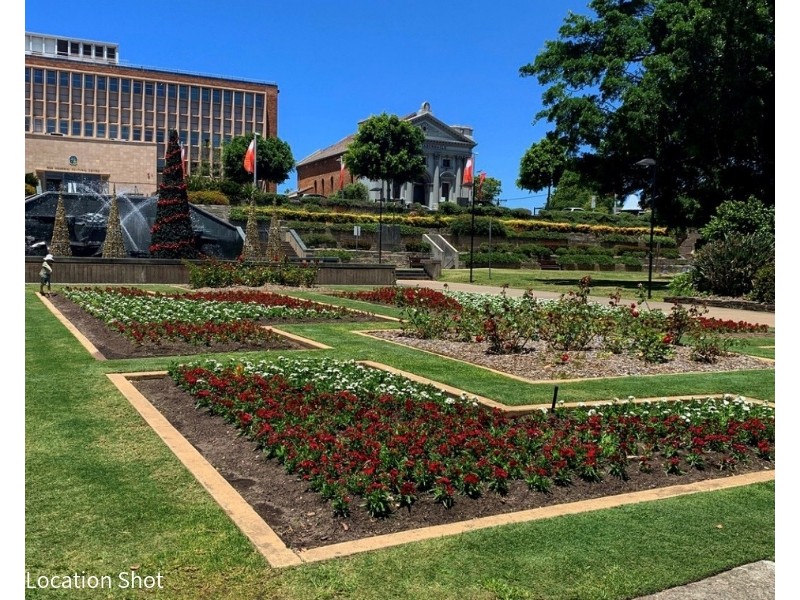 31 Gibson Street, Cooks Hill NSW 2300