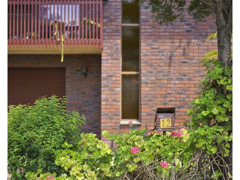 12 Liguori Court, Mayfield NSW 2304