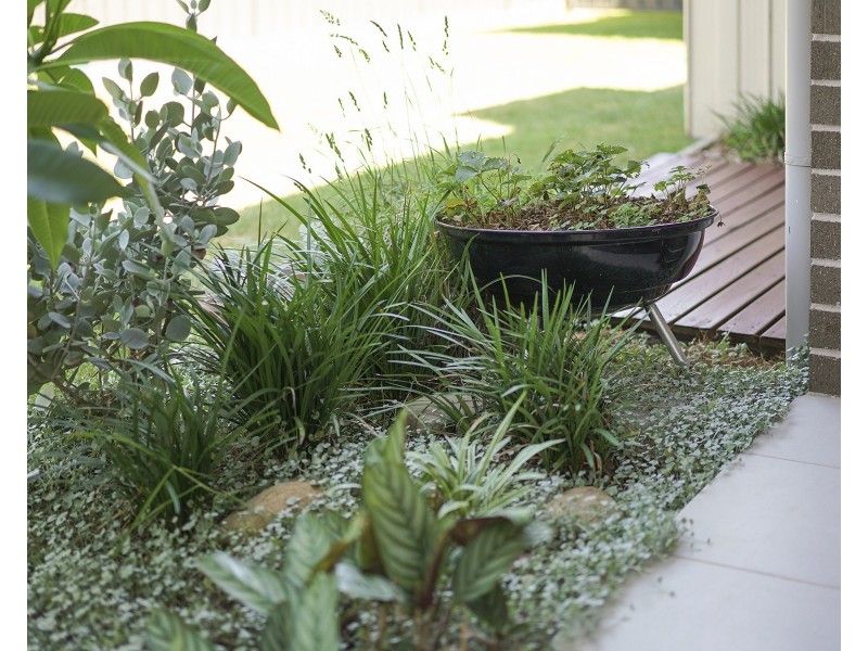 9 Water Street, Fern Bay NSW 2295