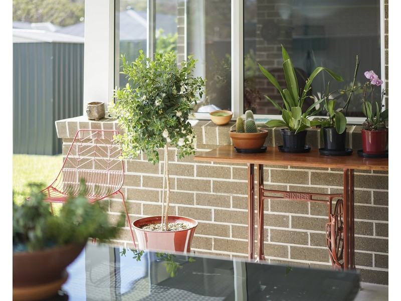 38 Apple Street, Fern Bay NSW 2295