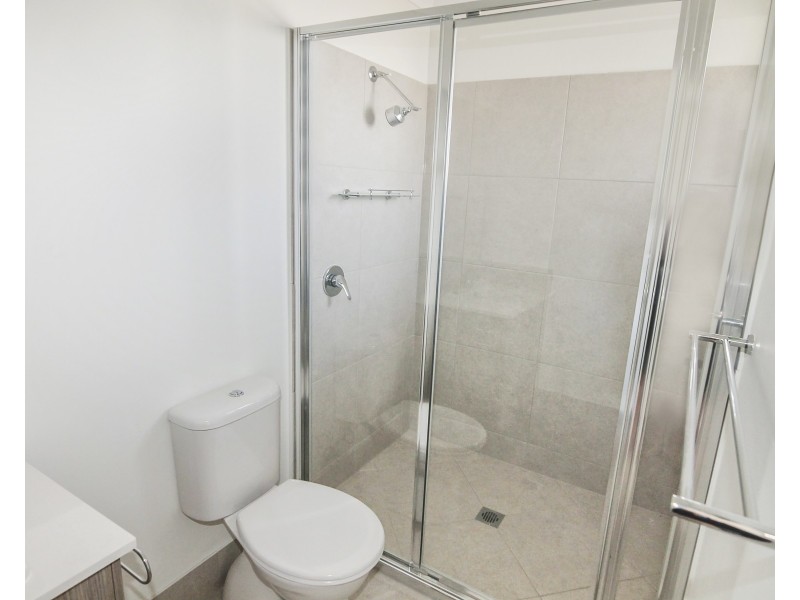 17  Plover Circuit, Aberglasslyn NSW 2320