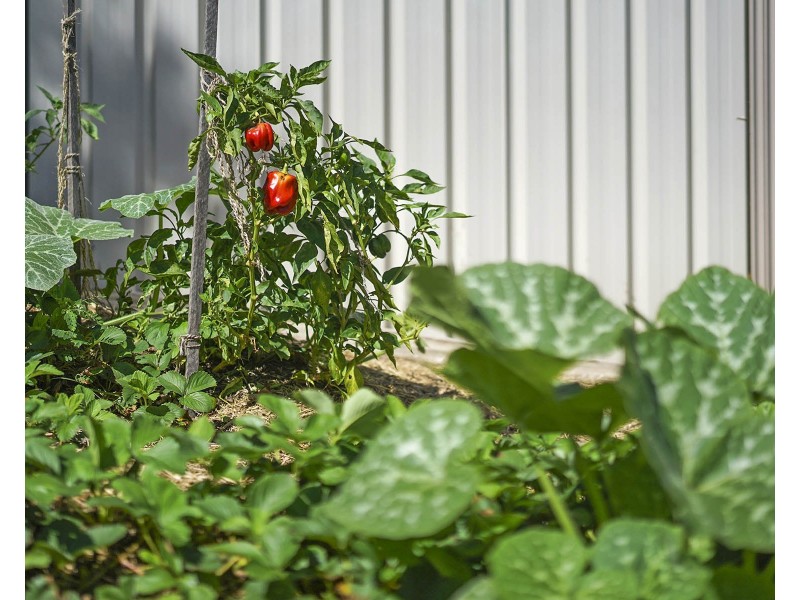 9 Bowness Street, New Lambton Heights NSW 2305