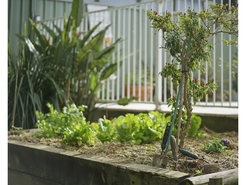 2 Clarence Road, Waratah NSW 2298