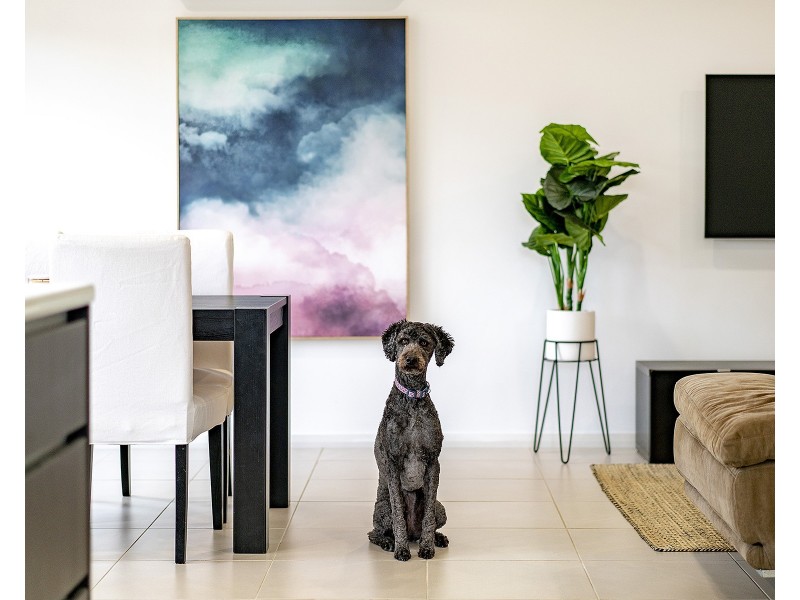 7/23 Lilian Street, Glendale NSW 2285