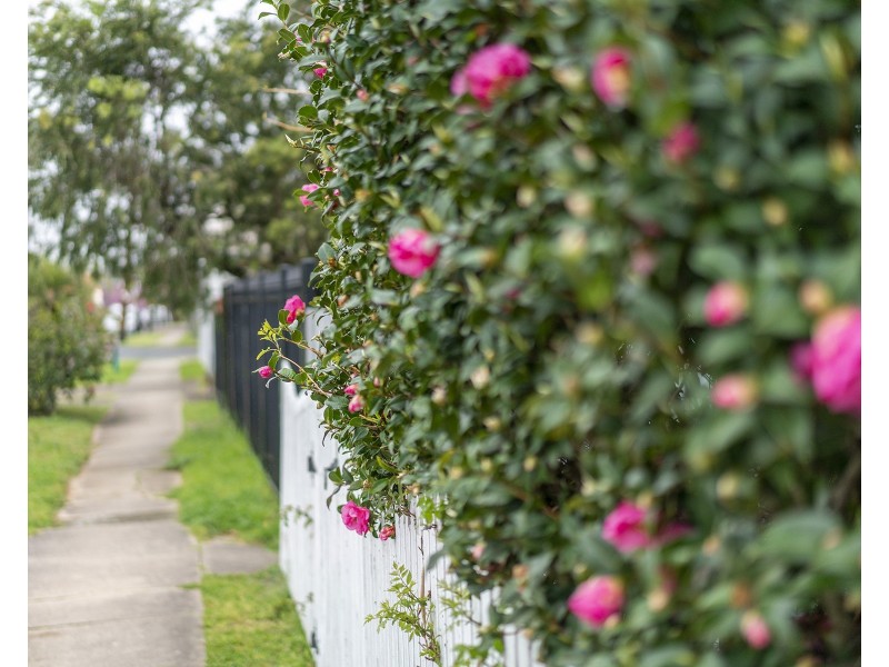 91 Fern Street, Islington NSW 2296