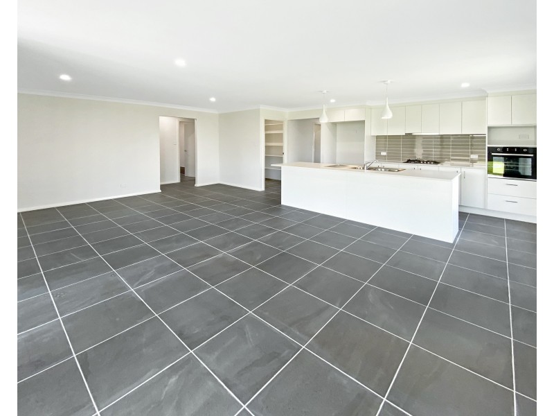 48 Arrowtail Street, Chisholm NSW 2322