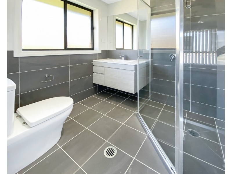 48 Arrowtail Street, Chisholm NSW 2322