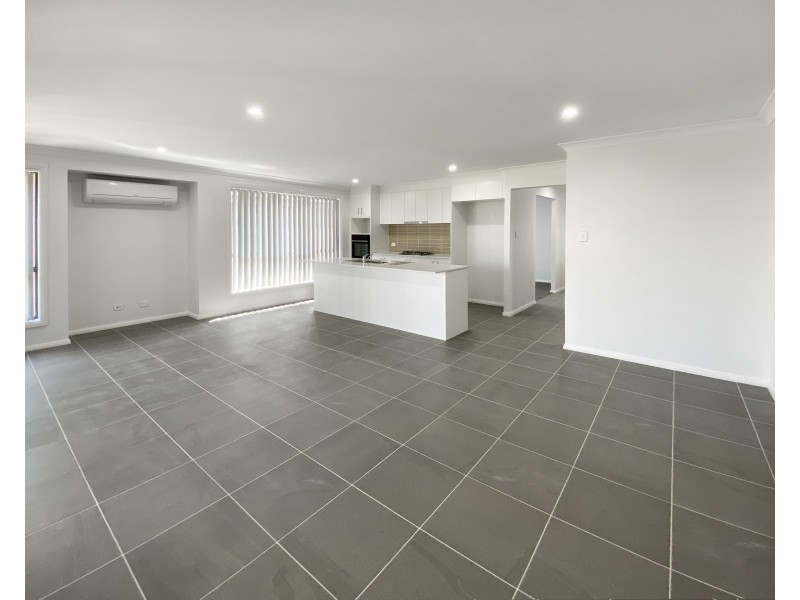 3 Dragonfly Drive, Chisholm NSW 2322