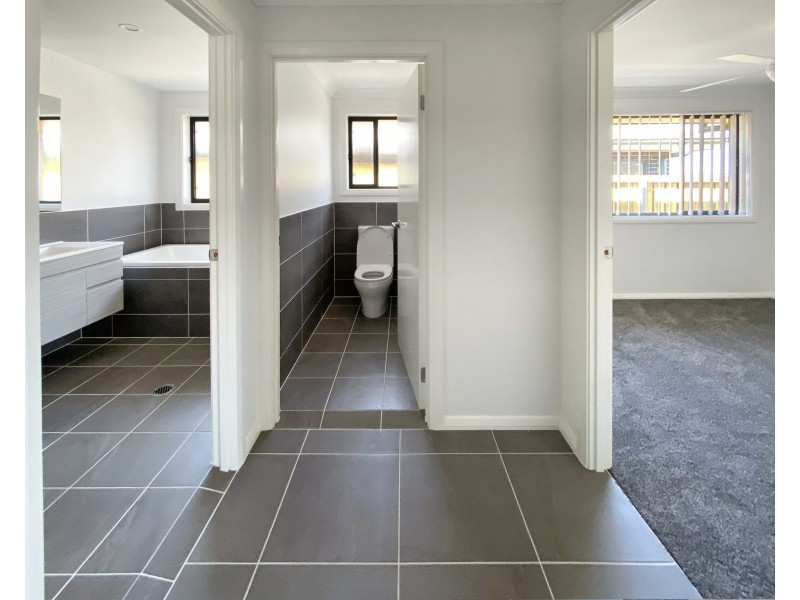 3 Dragonfly Drive, Chisholm NSW 2322