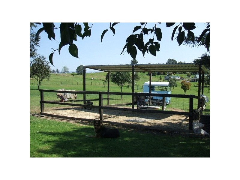 Beechwood NSW 2446