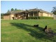 Beechwood NSW 2446