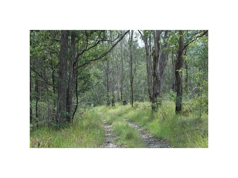 Upper Rollands Plains NSW 2441