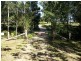 Long Flat NSW 2446