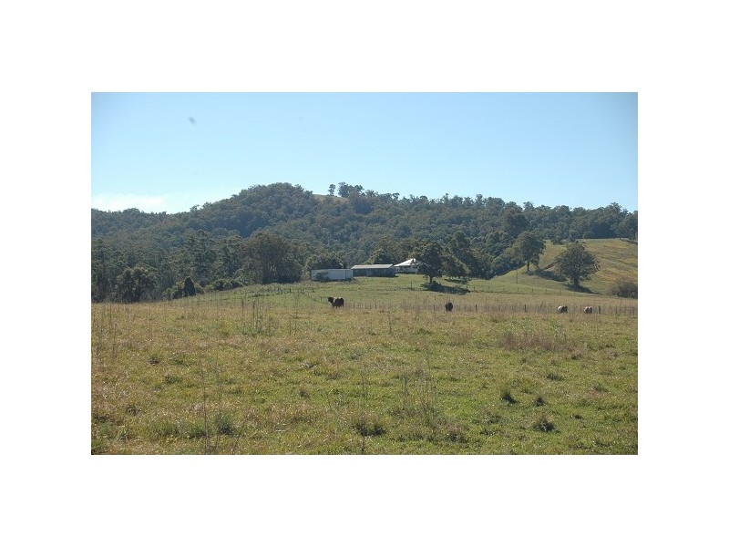 Lower Pappinbarra NSW 2446