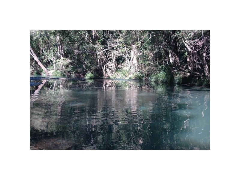 Lower Pappinbarra NSW 2446