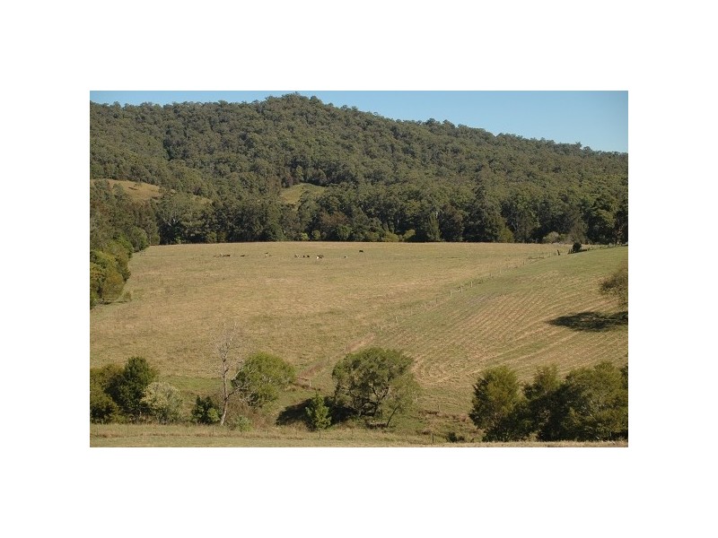 Lower Pappinbarra NSW 2446