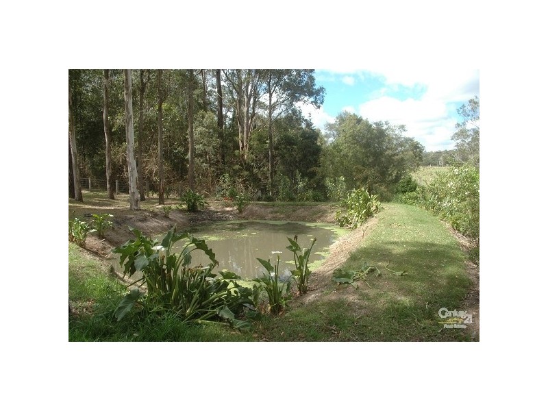 King Creek NSW 2446