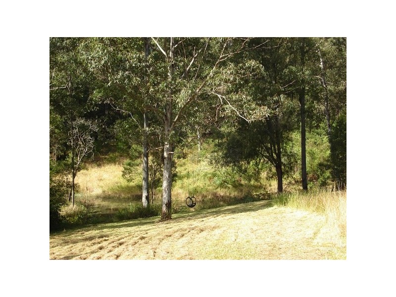 Bellangry NSW 2446