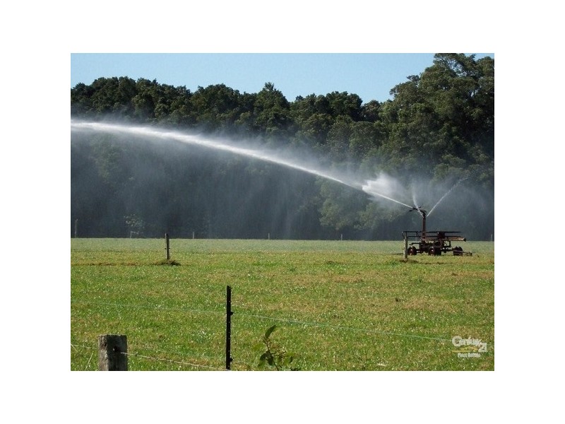 Logans Crossing NSW 2439