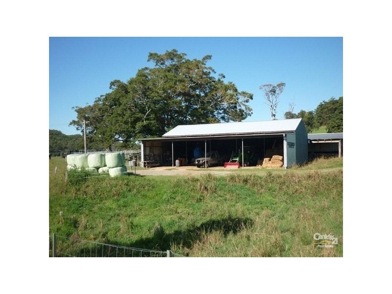 Logans Crossing NSW 2439