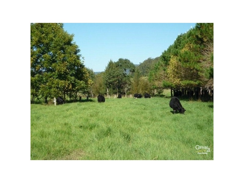 Logans Crossing NSW 2439