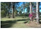 King Creek NSW 2446