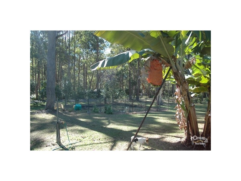 King Creek NSW 2446