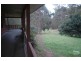 Wauchope NSW 2446