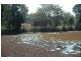 King Creek NSW 2446