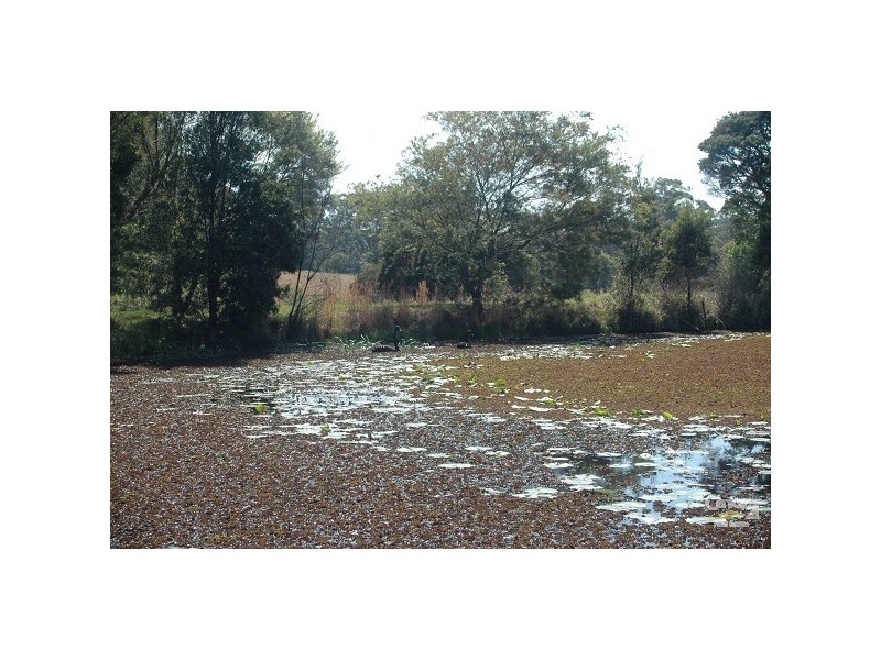 King Creek NSW 2446