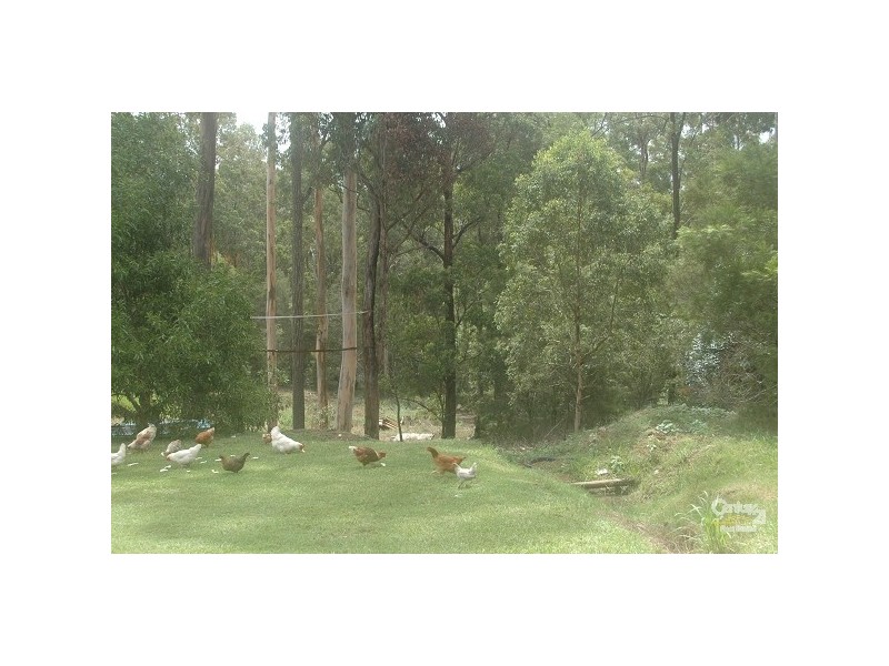 Wauchope NSW 2446