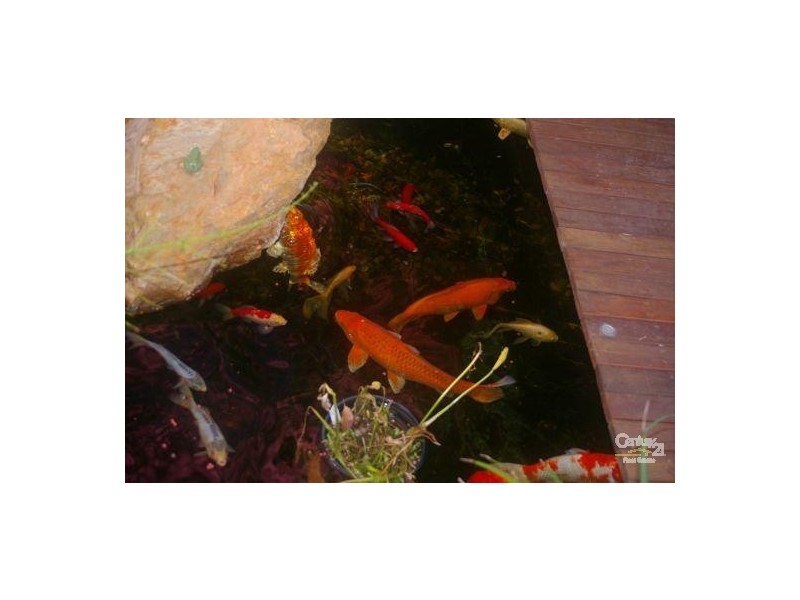 Mortons Creek NSW 2446