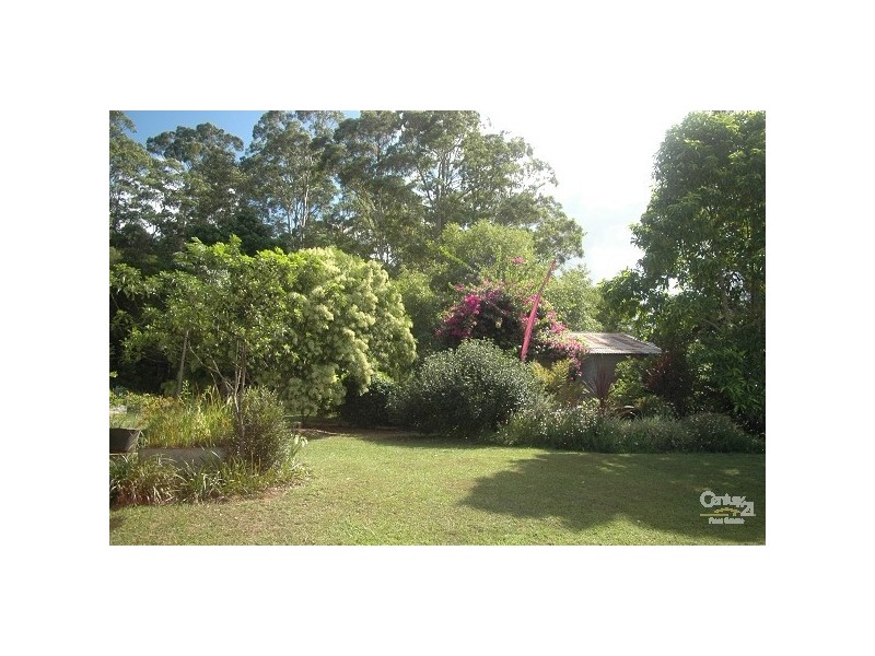 Kew NSW 2439