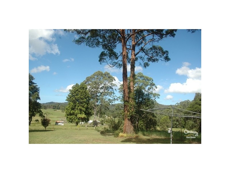 Kew NSW 2439