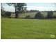 King Creek NSW 2446
