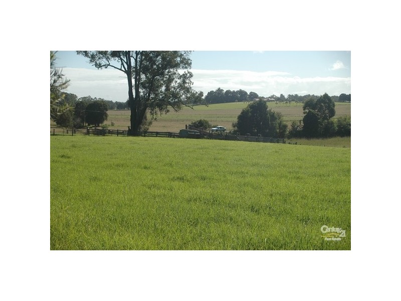 King Creek NSW 2446